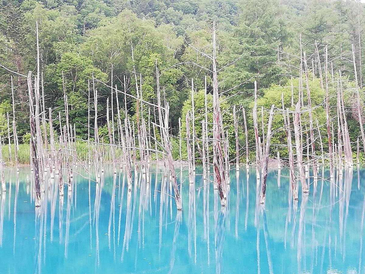 Hotel Hanafuji Inn NakaNakafurano Eksteriør bilde